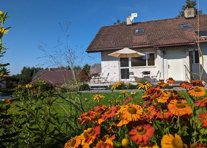 U Vichu Pensionat Červená Voda
